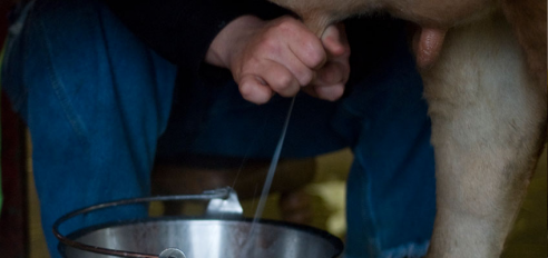 default image for post