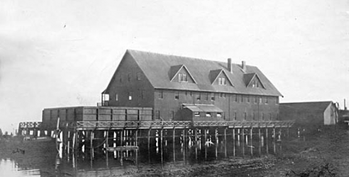 default image for post