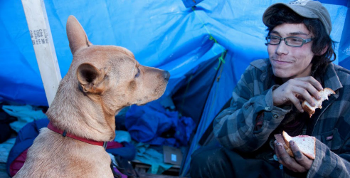 default image for post