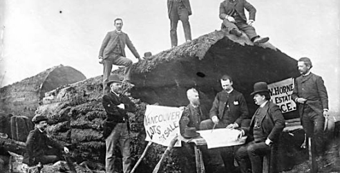 default image for post