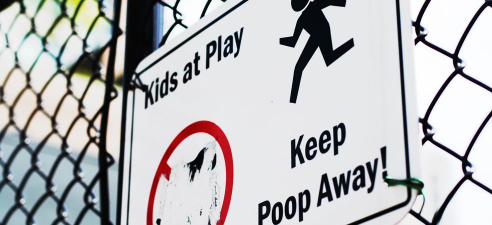 default image for post