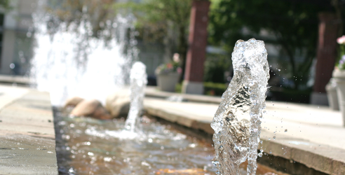 default image for post